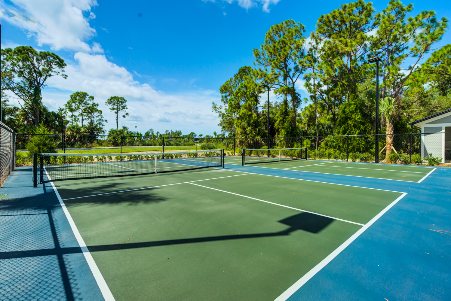Pickleball and Tennis Court